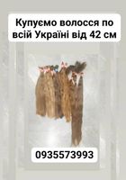 Купуємо волосся, продать волосы по всій Україні від 42... Оголошення Bazarok.ua