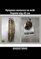 Куплю волосся, продать волосы по всій Україні від 42... Оголошення Bazarok.ua