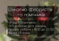 Флорист, Чернівці... Объявления Bazarok.ua