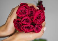 25 чарівних троянд - ідеальний квітковий презент... Оголошення Bazarok.ua