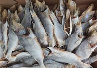 Тарань риба сушена(окунь,плотва,щука,судак)... Оголошення Bazarok.ua