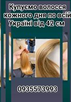 Купуємо волосся кожного дня по всій Україні від 42... Объявления Bazarok.ua