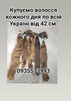 Продать волосы, продати волосся дорого по всій Україні від... Объявления Bazarok.ua