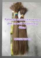 Скуповуємо волосся кожного дня по всій Україні від 42см... Оголошення Bazarok.ua