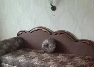 Квартира 1-кімн. оренда Киев, Соломенский &ndash; 27 м&sup2;... Оголошення Bazarok.ua