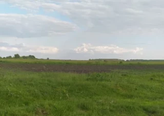 Земельна ділянка продаж Кодня... Оголошення Bazarok.ua