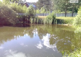 Земельна ділянка продаж Дениши... Оголошення Bazarok.ua