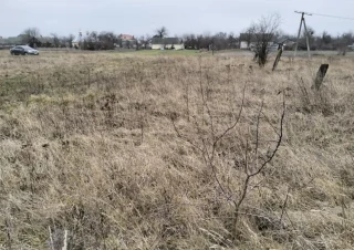 Земельна ділянка продаж Березина... Оголошення Bazarok.ua