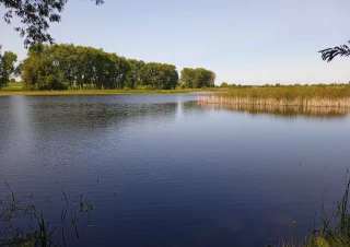 Земельна ділянка продаж Сингуры... Оголошення Bazarok.ua