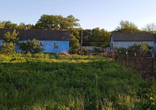 Будинок продаж Дачное... Объявления Bazarok.ua
