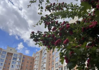 Квартира 1-кімн. продаж Софиевская Борщаговка &ndash; 39 м&sup2;... Объявления Bazarok.ua