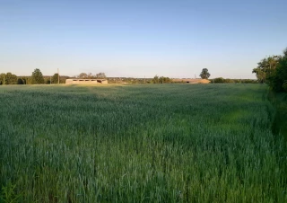 Земельна ділянка продаж Глеваха... Объявления Bazarok.ua
