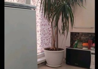 Квартира 1-кімн. продаж Харьков, Новобаварский &ndash; 24 м&sup2;... Оголошення Bazarok.ua